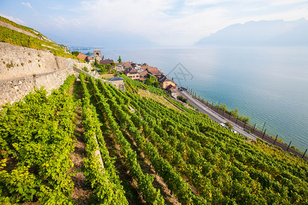 瑞士日内瓦湖岸边的Lav图片