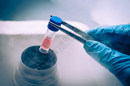 科学家与干细胞悬浮在液体氮银行工作背景图片