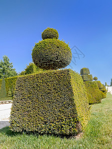 法国凡尔赛花园的长图片