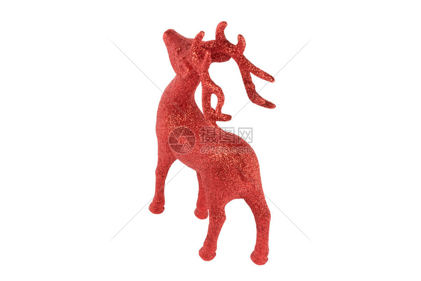 圣诞老人或其他重要节日的驯鹿是红驯鹿示范图片