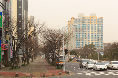 韩国济州岛的城市景观图片