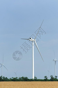 广袤的麦田中的风电场图片