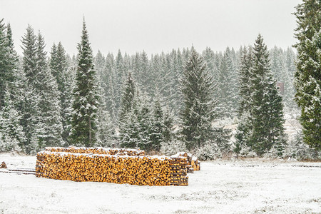远处堆满雪的木头图片