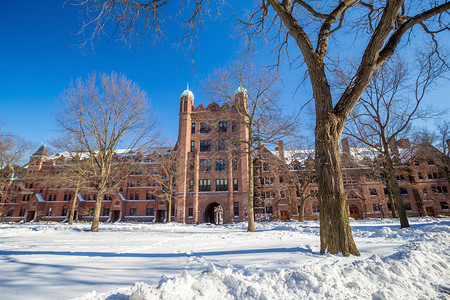 在美国首都新黑文的耶鲁大学楼下雪后冬季的图片