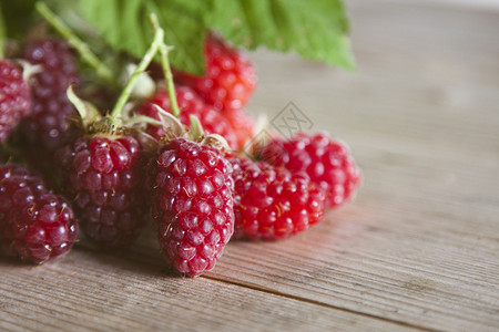 新鲜的红树莓最近的年份背景图片