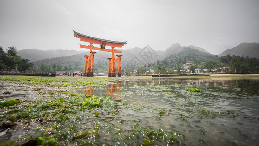 在日本著名的漂浮托里城门图片