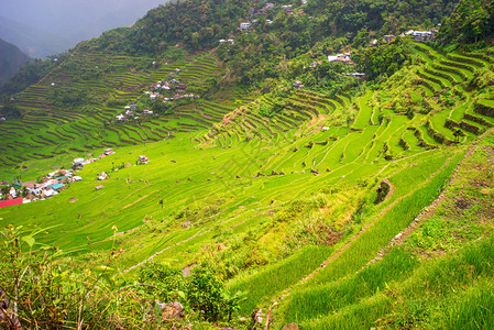 长城全景菲律宾巴努埃省Ifugao省Batad水稻田露天梯田的全景背景
