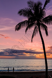 毛伊岛海滩上美丽的日落图片
