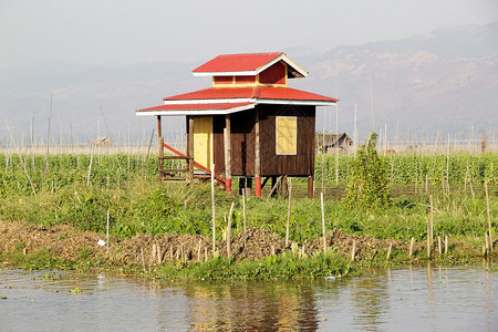 缅甸掸邦茵莱湖水上花园中的高跷小屋图片