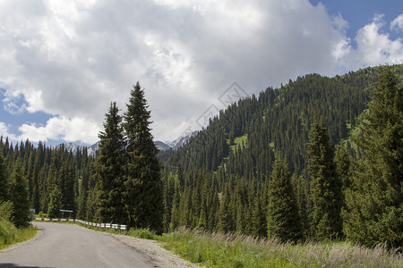 通往树林中山口的山路图片