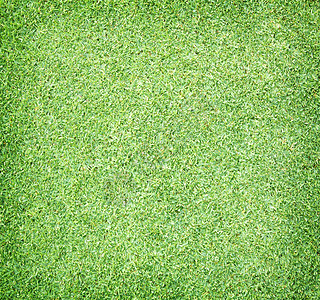 高尔夫球场绿草原图片