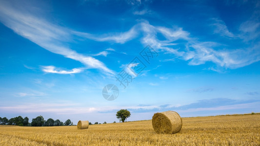 用稻草捆的茬场在波兰拍摄的美丽图片