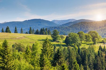 梦游仙境山地景色晴朗的一天戏剧晨间风景喀尔巴阡背景