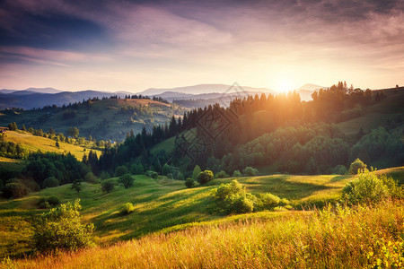 美丽的绿色山丘在黄昏时照耀着阳光图片