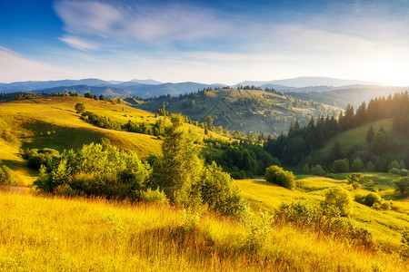 神奇的绿色山丘在阳光下发光戏剧早晨风景喀尔巴阡图片