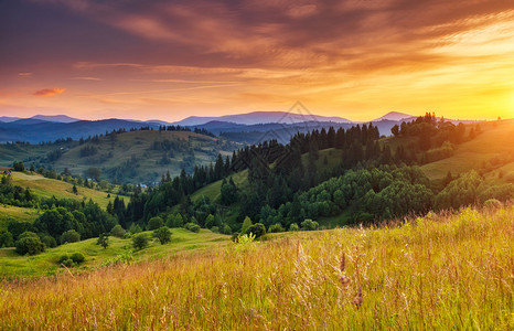 美丽的绿色山丘在黄昏的阳光下闪耀着光芒喀尔巴阡山脉图片