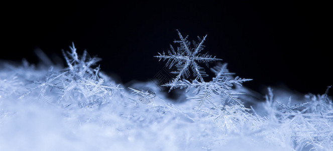 雪地上的雪花气温图片