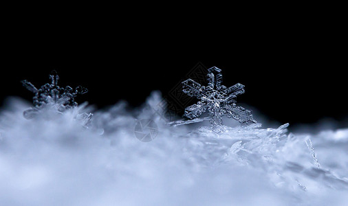 雪地上的雪花气温背景图片