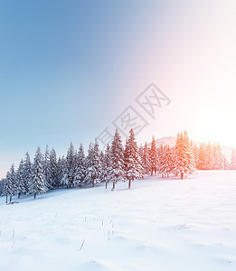 阳光照射下的般的冬季景观蓝天下的戏剧冬景喀尔巴阡图片