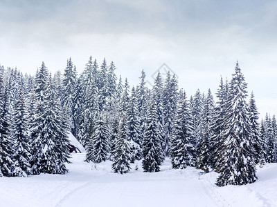 冷背景斯洛文尼亚JulianAlps山的Vogel滑雪中心附背景