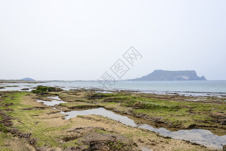 从偶来步道1号可以看到光池基海滩与城山日出峰的景观光池基是一个不寻常的岩石海滩背景图片