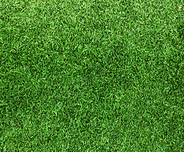 草地背景高尔夫球场绿色草坪精美图片