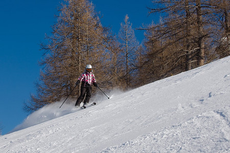 鸟巢滑雪女滑雪者从斜坡上下来背景