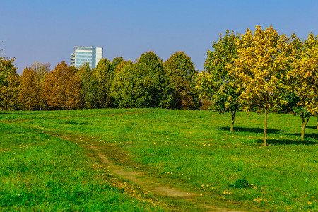 城市公园的秋天自然桑尼日树多彩图片