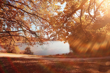 阳光明媚的秋季图片