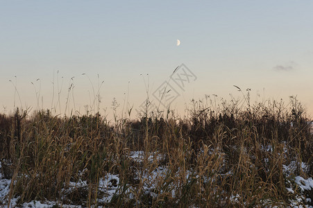 月亮在天上田地上的干草上图片