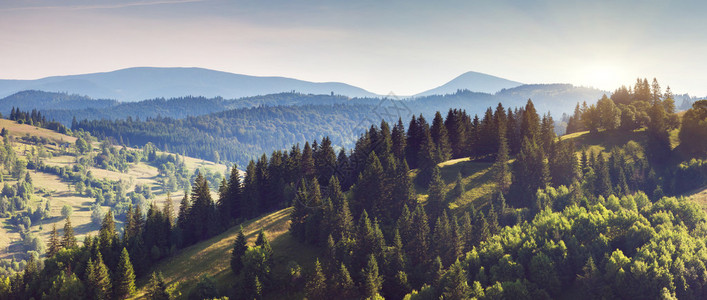美丽的绿山和蓝天喀尔巴阡山脉图片