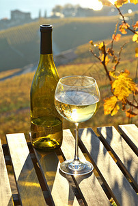 瑞士日内瓦湖的葡萄酒图片