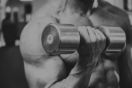 松茸是野生的还是人工种的