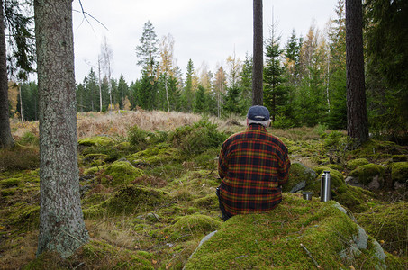 高级伐木工坐在绿色森图片
