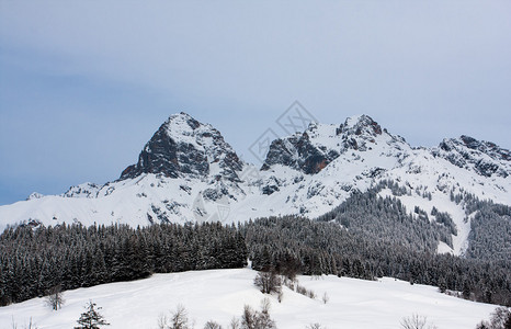 鸟巢滑雪冬时雪下的高山落基山脉背景