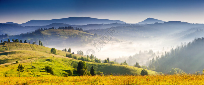 瑞士牧场奇妙的雾天和阳光明媚的山丘背景