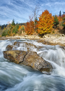 秋天森林里的风景山河图片