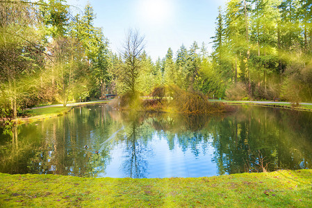 绿色公园中的蓝湖阳图片