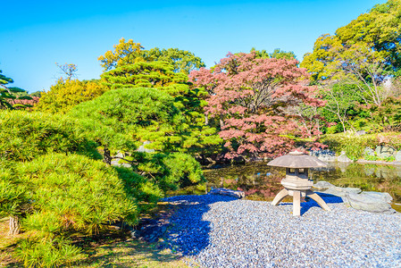 日本皇宫公园的花园图片
