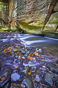一条流淌的小溪与岩石的秋景图片