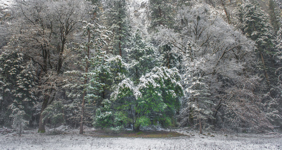 冬天的优胜美地公园图片