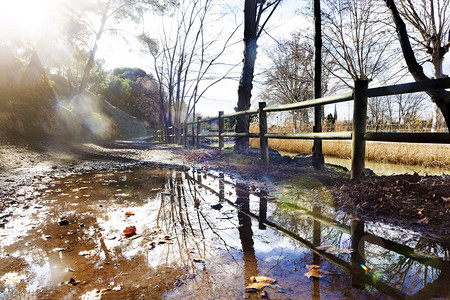 公园日落水坑反射城市公园和太阳光图片