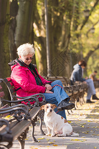 秋天公园里带着狗的老妇人图片