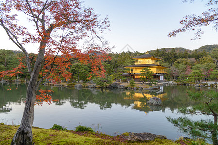 金阁寺秋季金阁京都日本图片