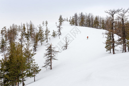 山上孤独滑雪者的冬季景观图片