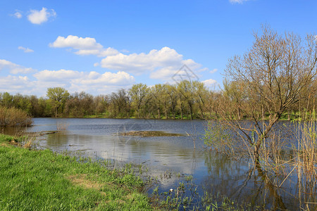 林中湖边的春天景象图片
