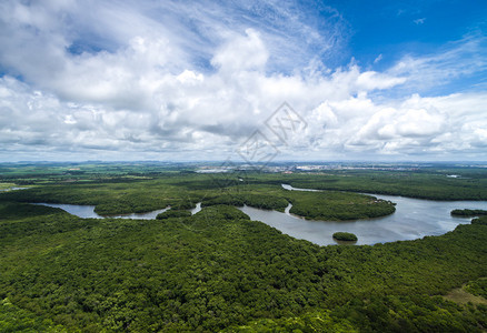 亚马孙河在巴西的亚马逊雨林背景