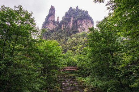 在的Yangjiajie风景区图片