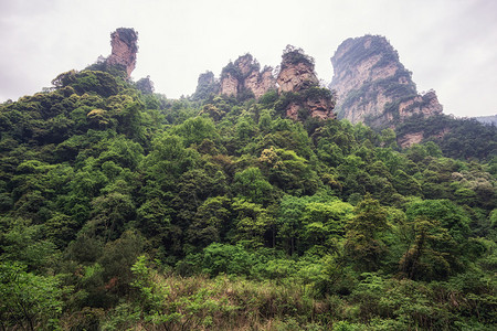 水墨山水杨家界风景名胜区张家界山水景观背景