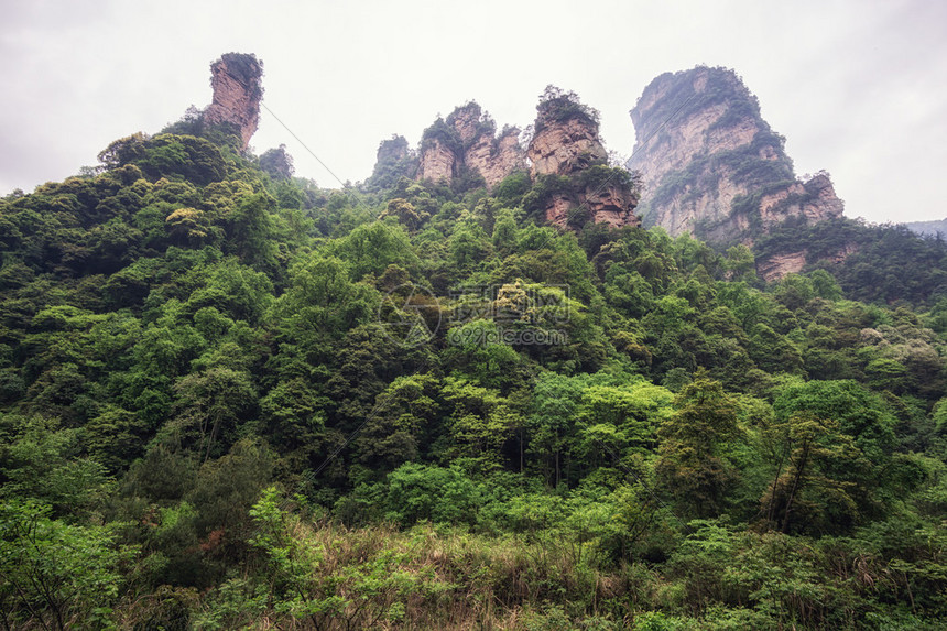 杨家界风景名胜区张家界山水景观图片